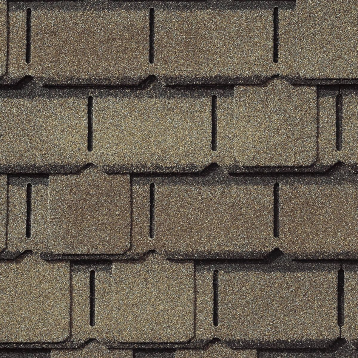 Lively Roofing Company Images