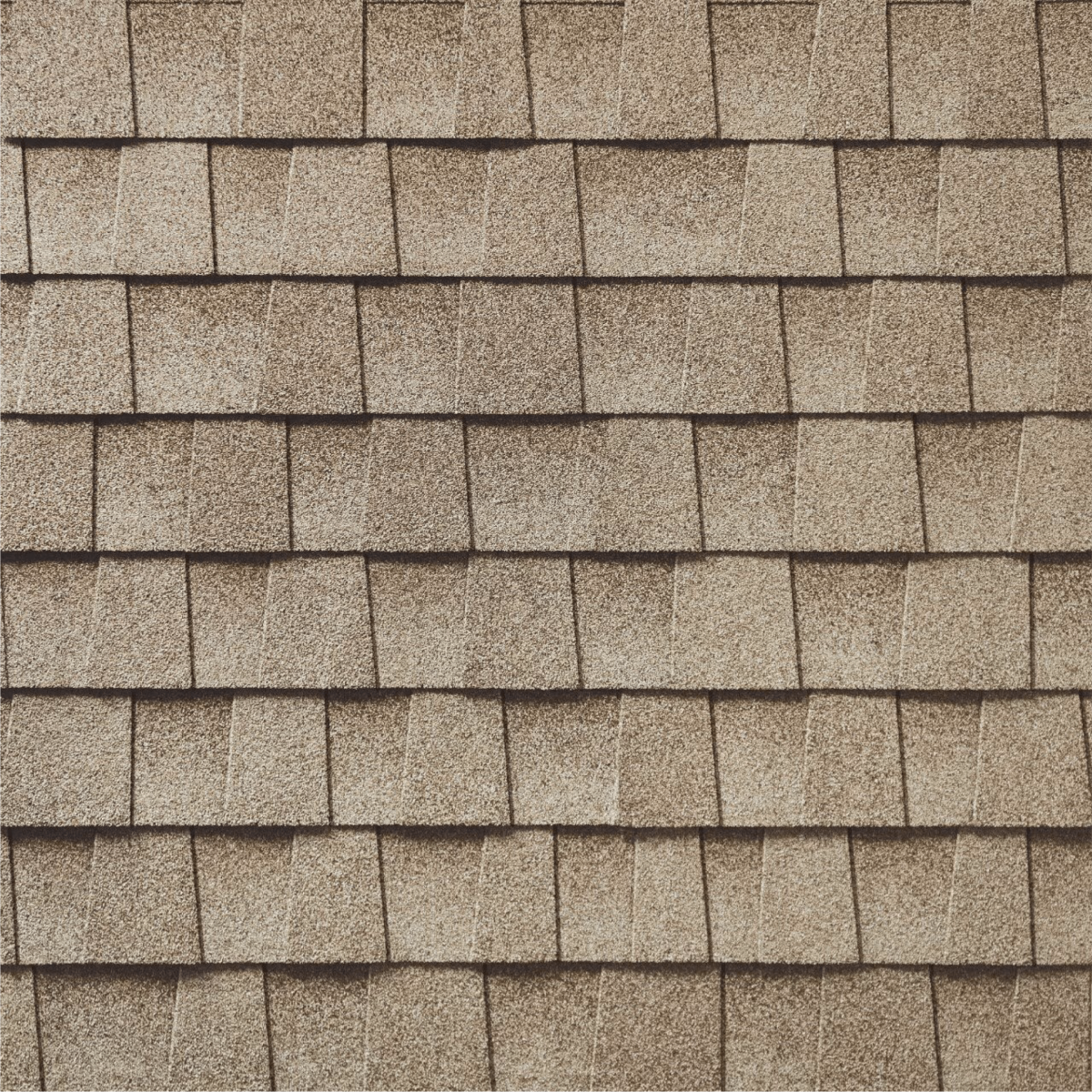 Lively Roofing Company Images