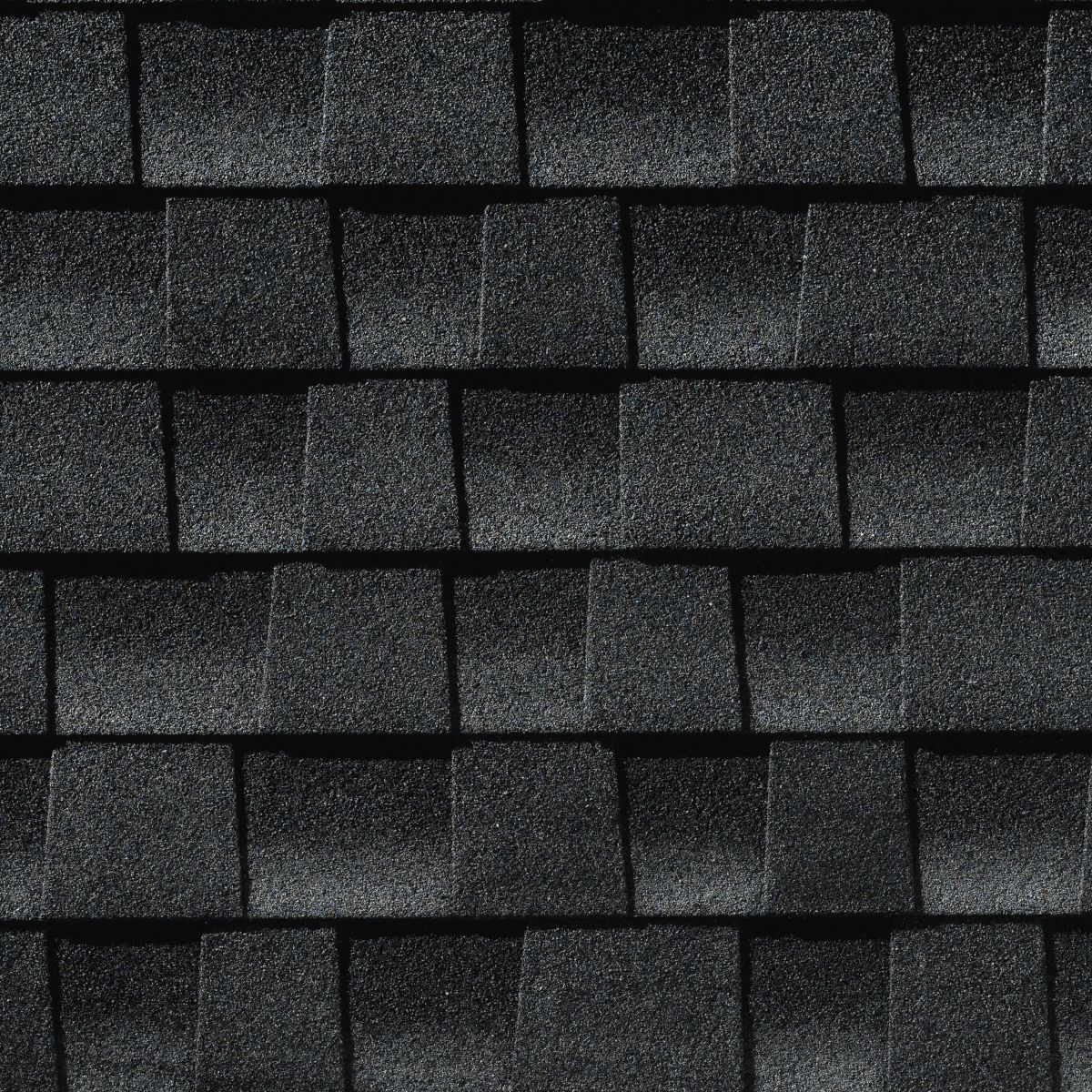 Lively Roofing Company Images