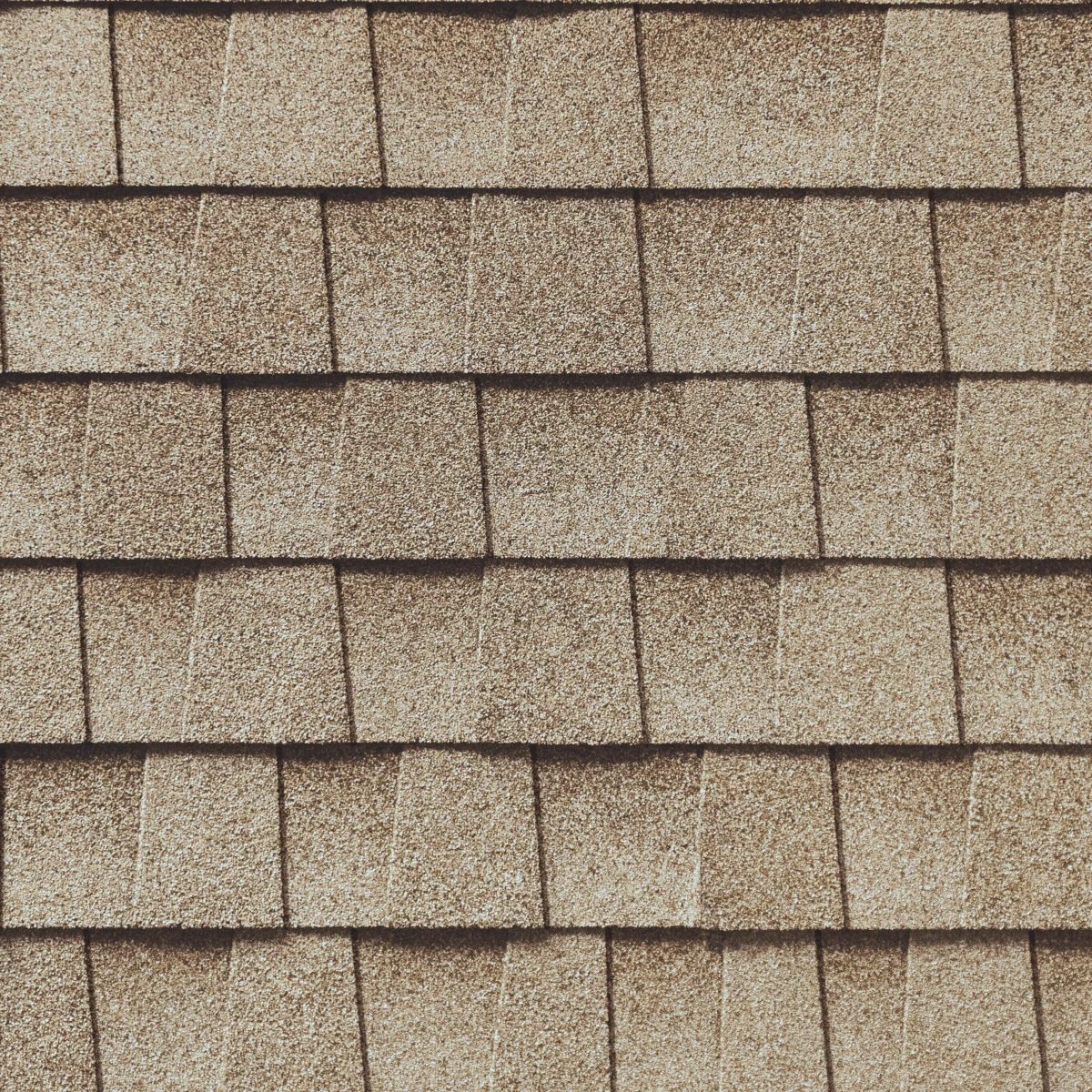 Lively Roofing Company Images
