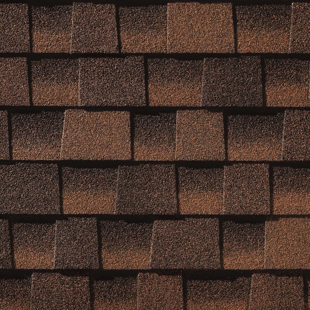 Lively Roofing Company Images