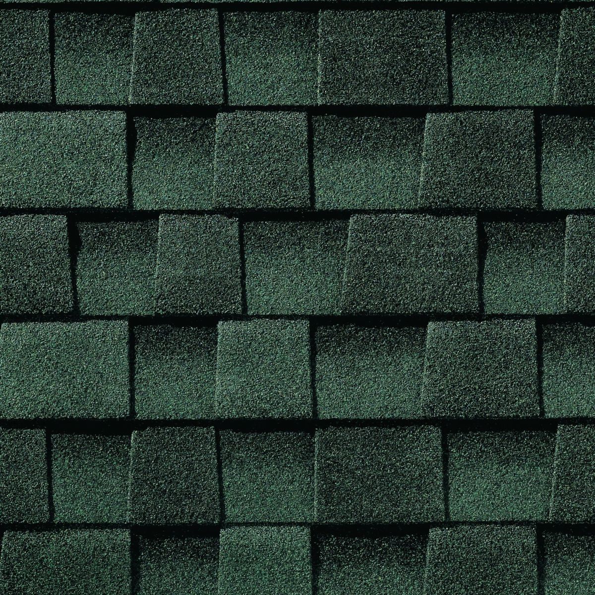 Lively Roofing Company Images