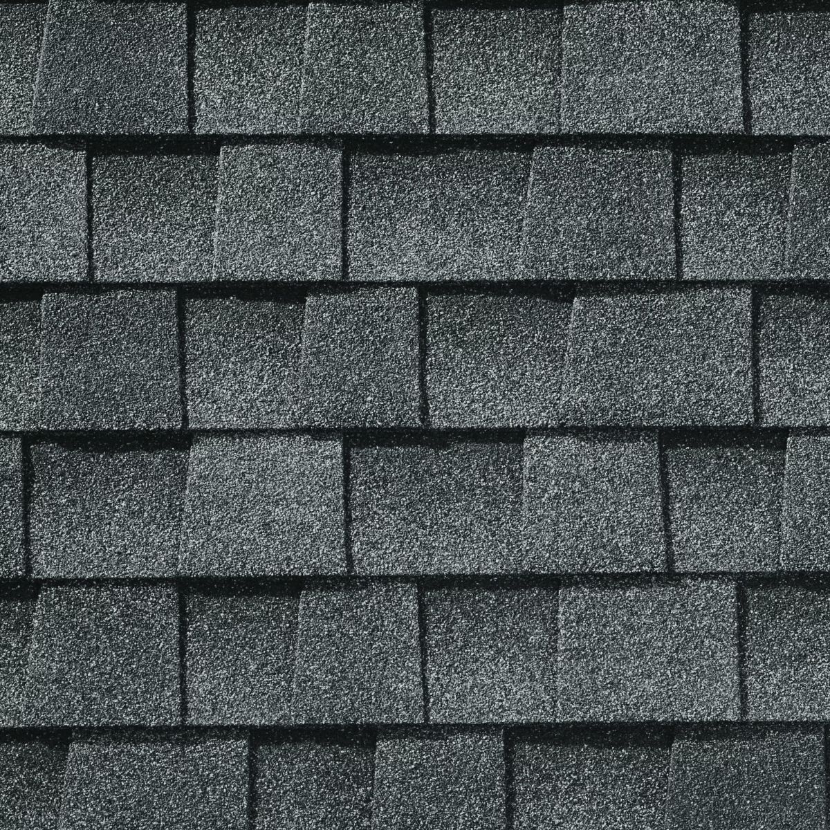 Lively Roofing Company Images