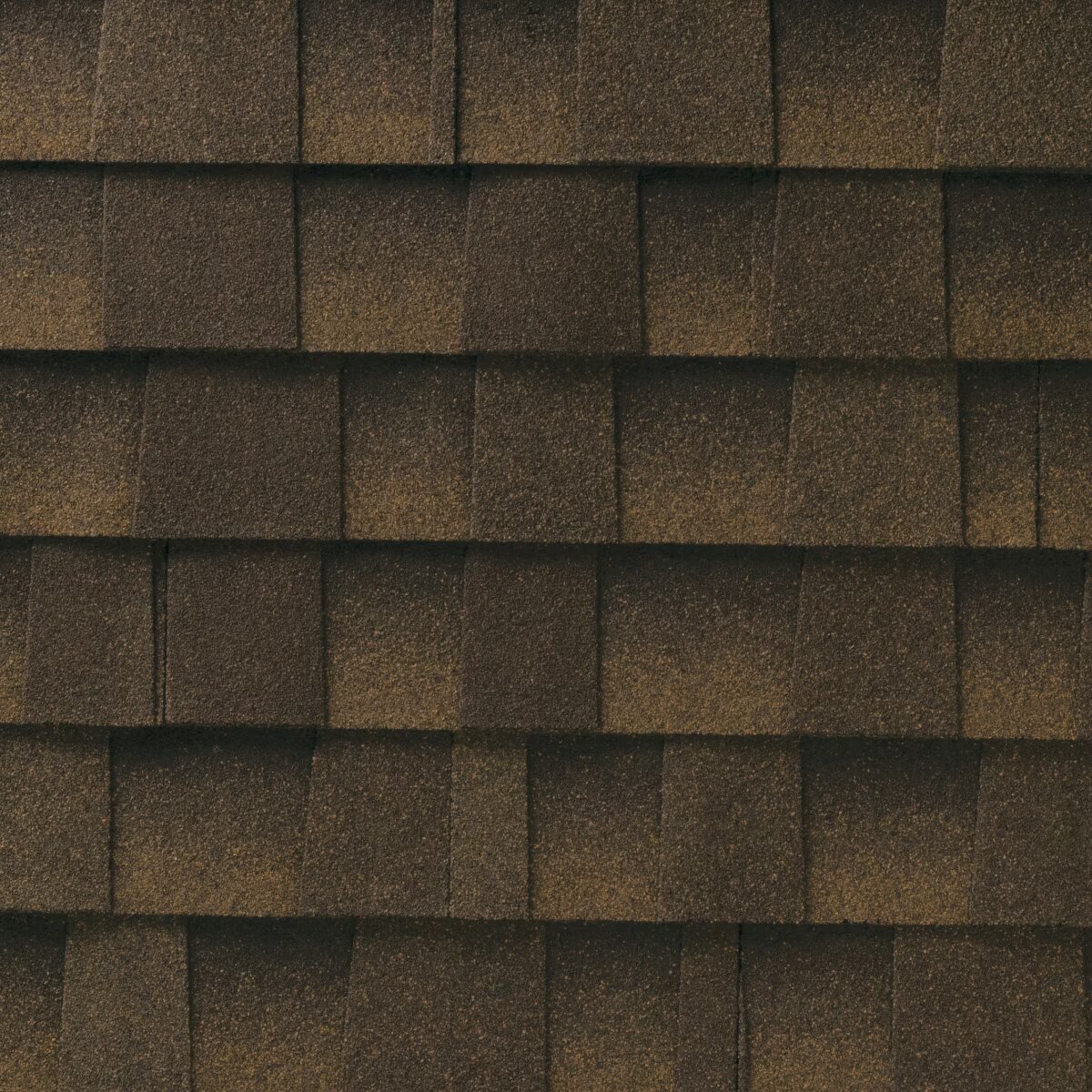Lively Roofing Company Images