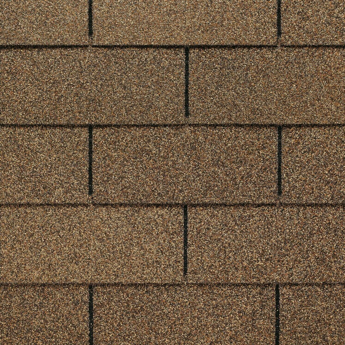 Lively Roofing Company Images