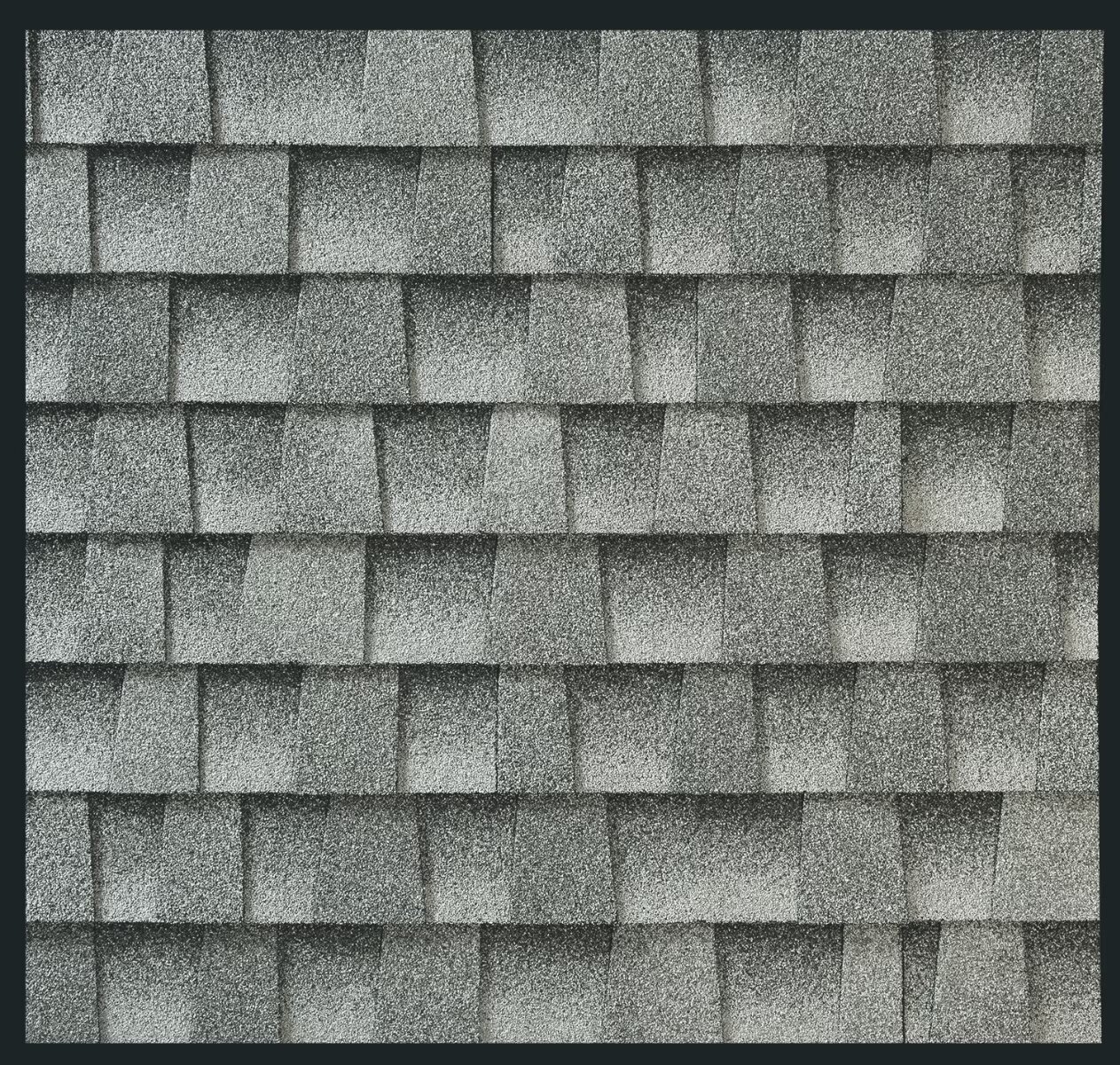 Lively Roofing Company Images