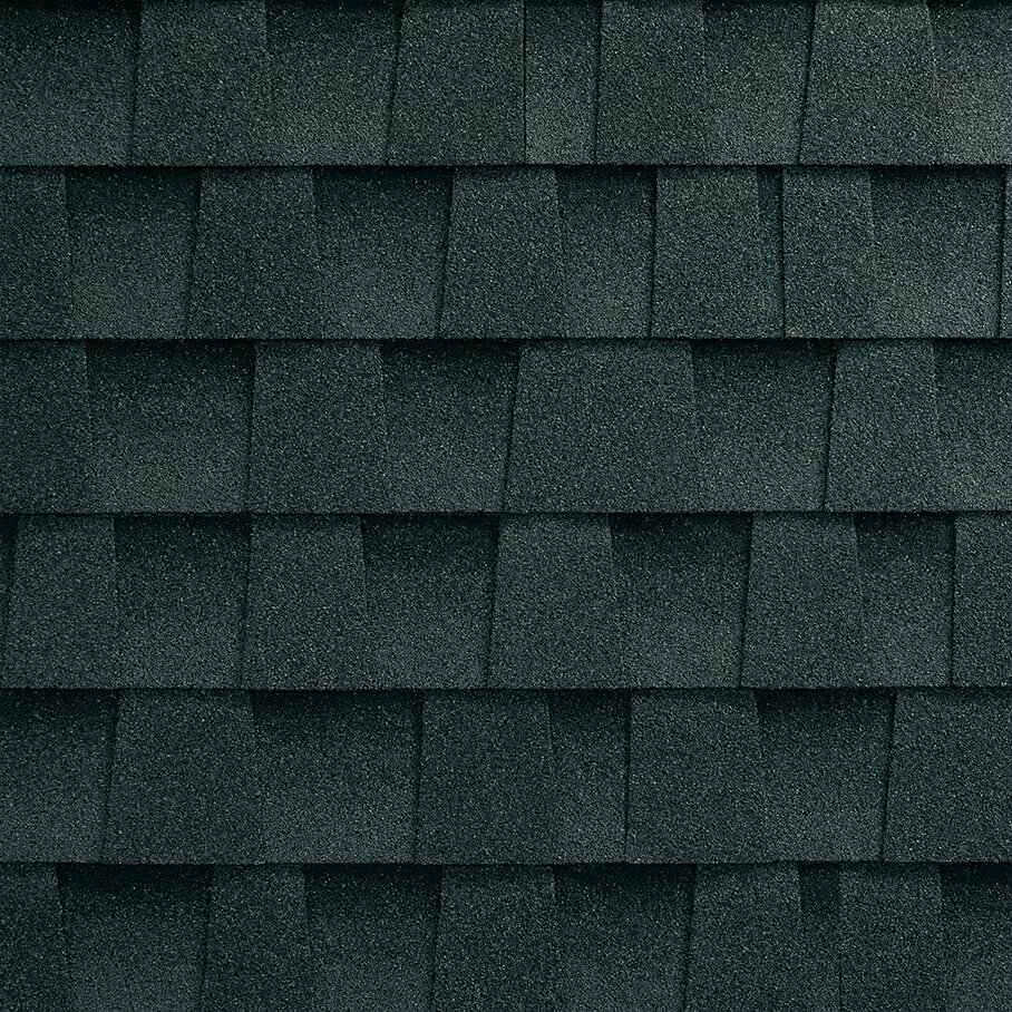 Lively Roofing Company Images