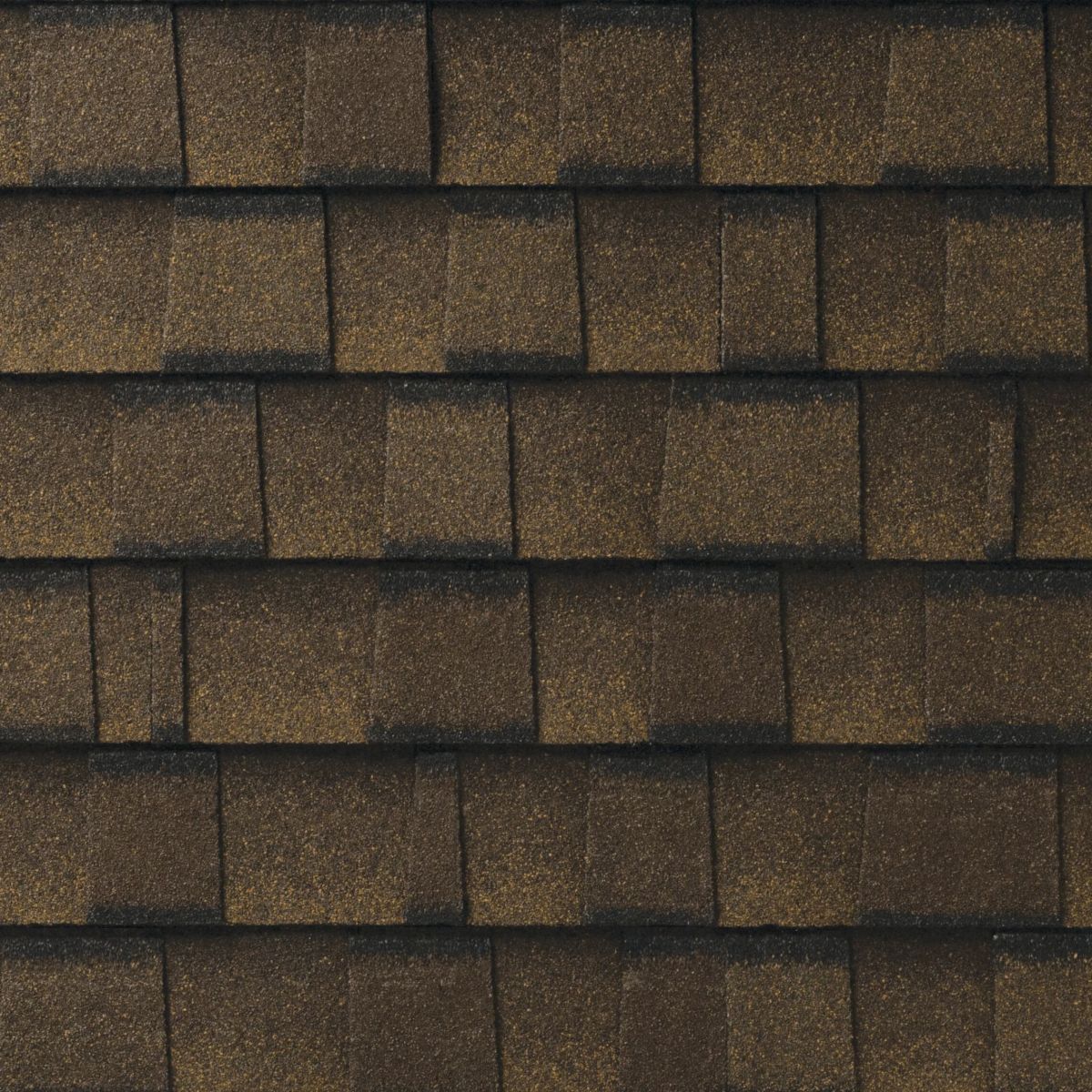 Lively Roofing Company Images
