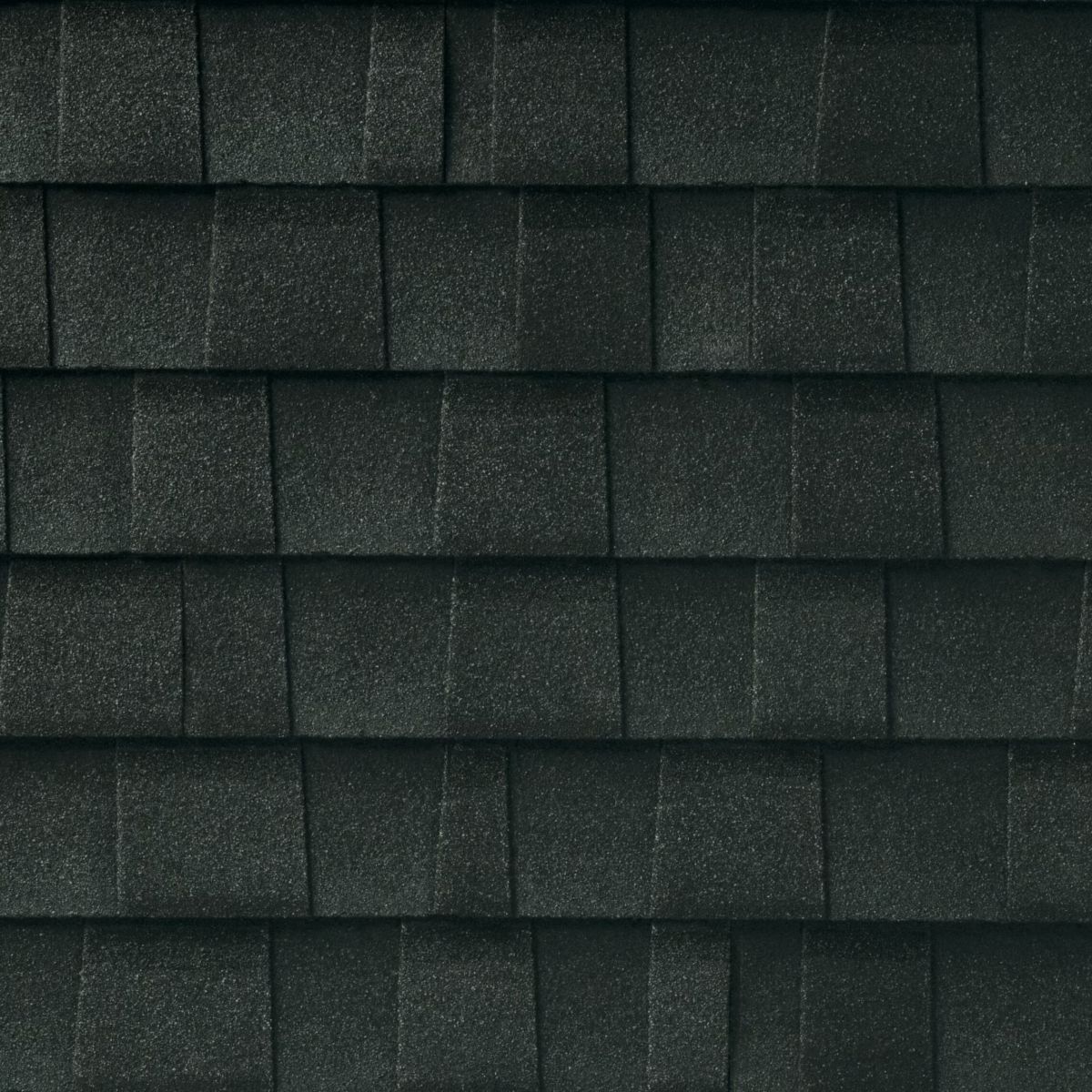 Lively Roofing Company Images