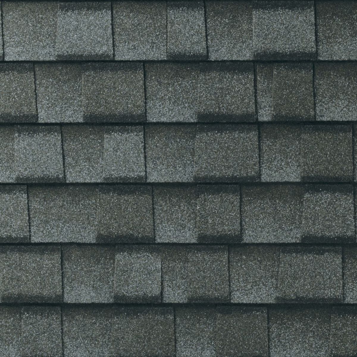 Lively Roofing Company Images