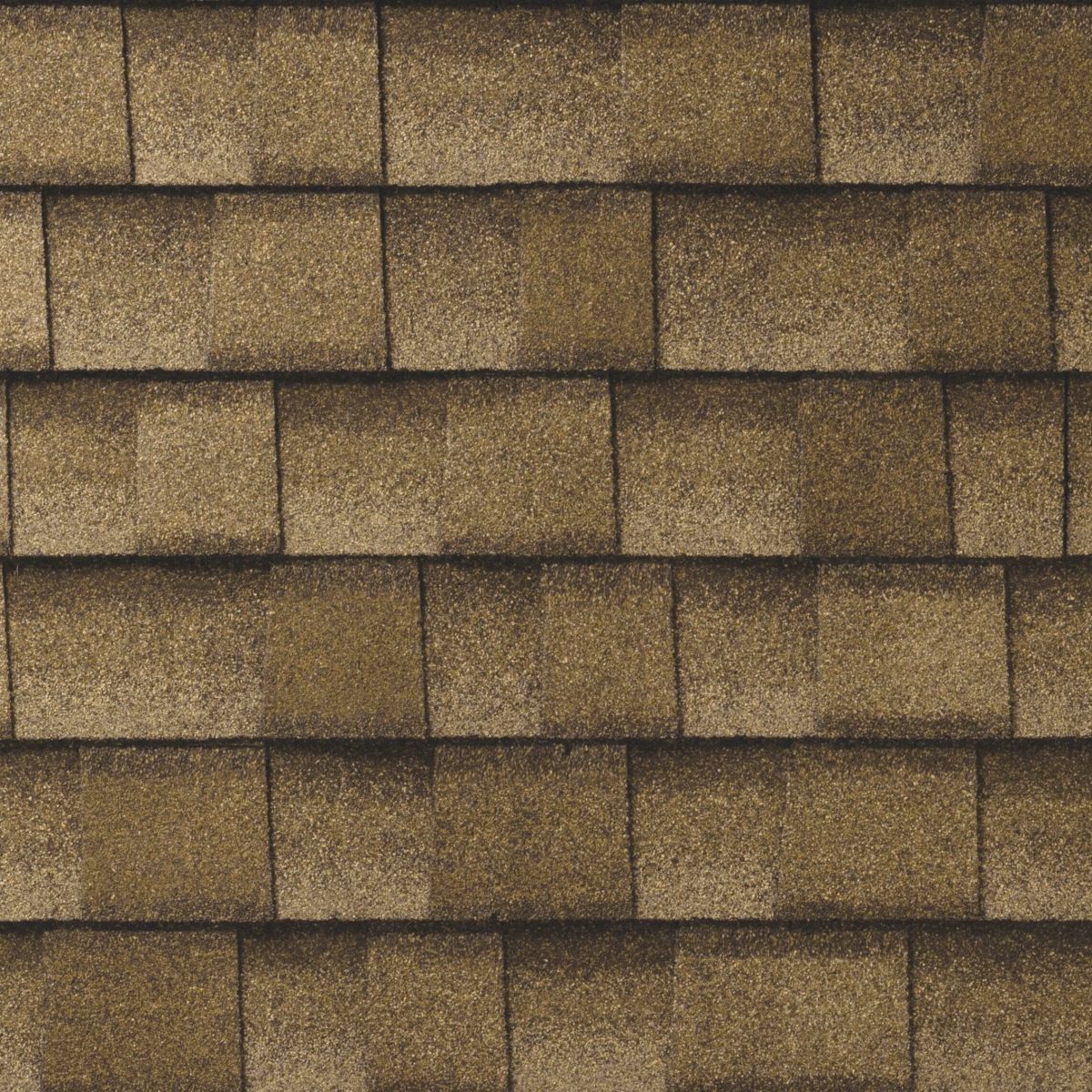 Lively Roofing Company Images