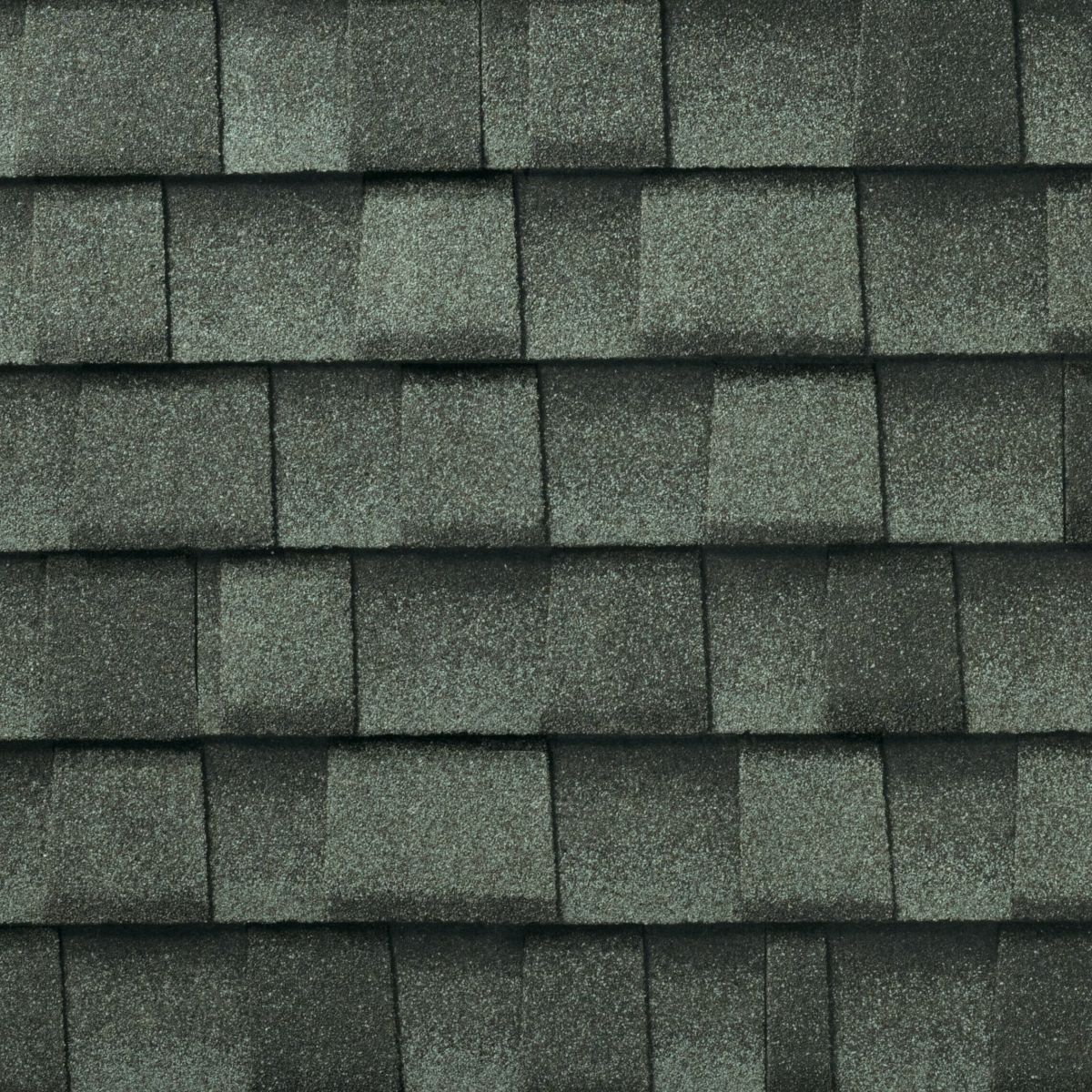 Lively Roofing Company Images
