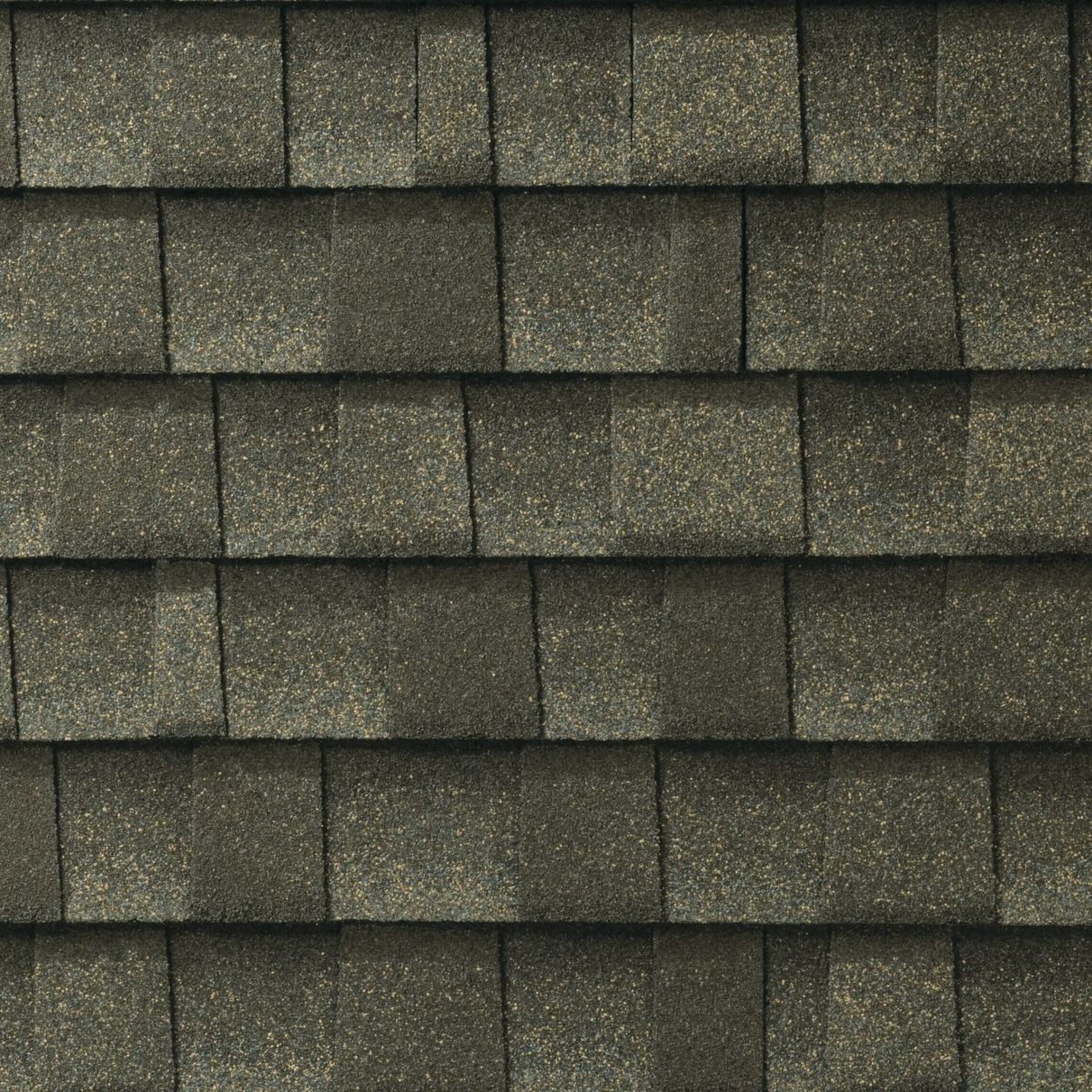 Lively Roofing Company Images