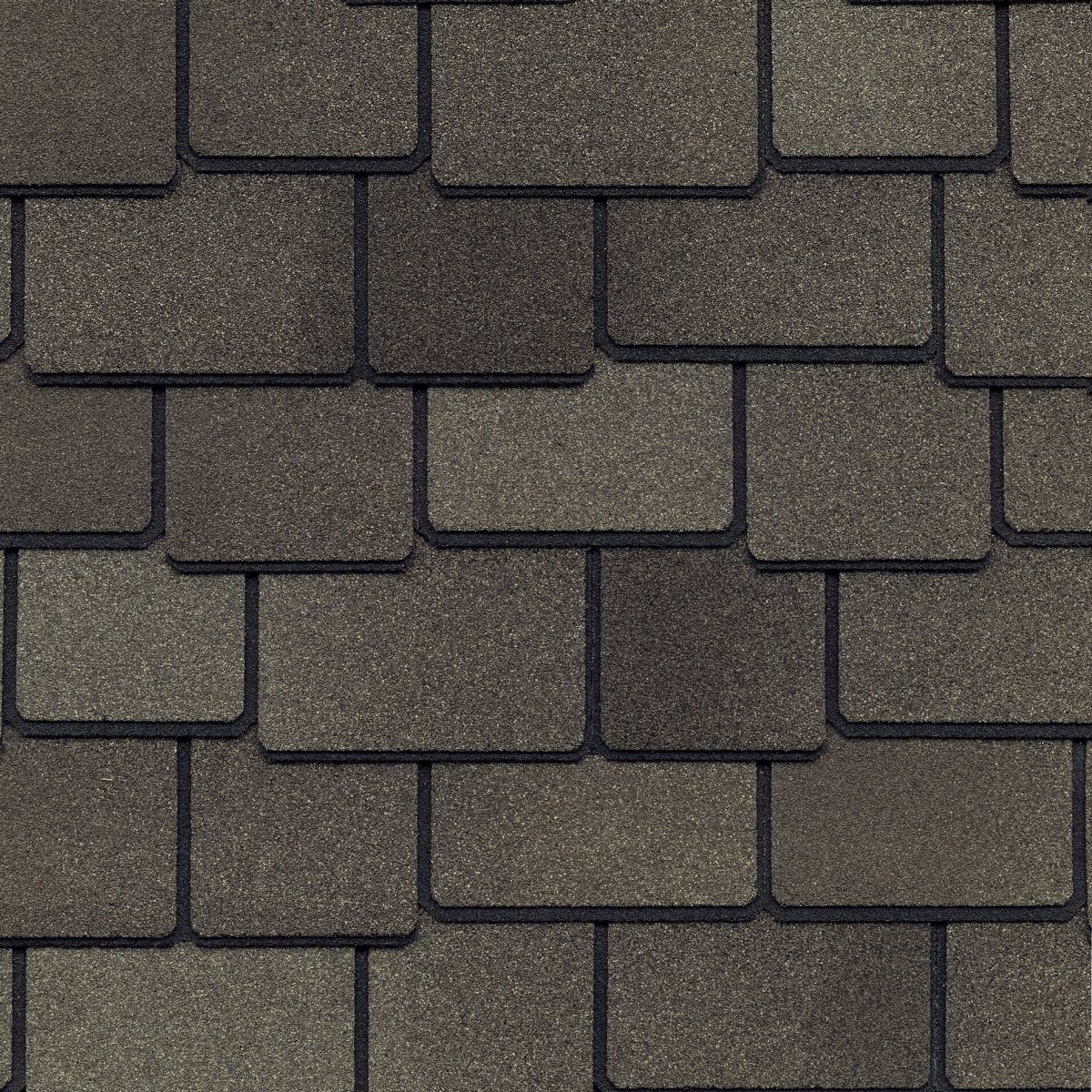 Lively Roofing Company Images