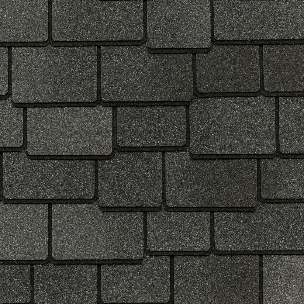 Lively Roofing Company Images