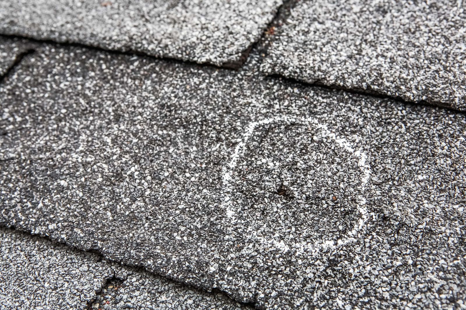 Lively Roofing Company Images