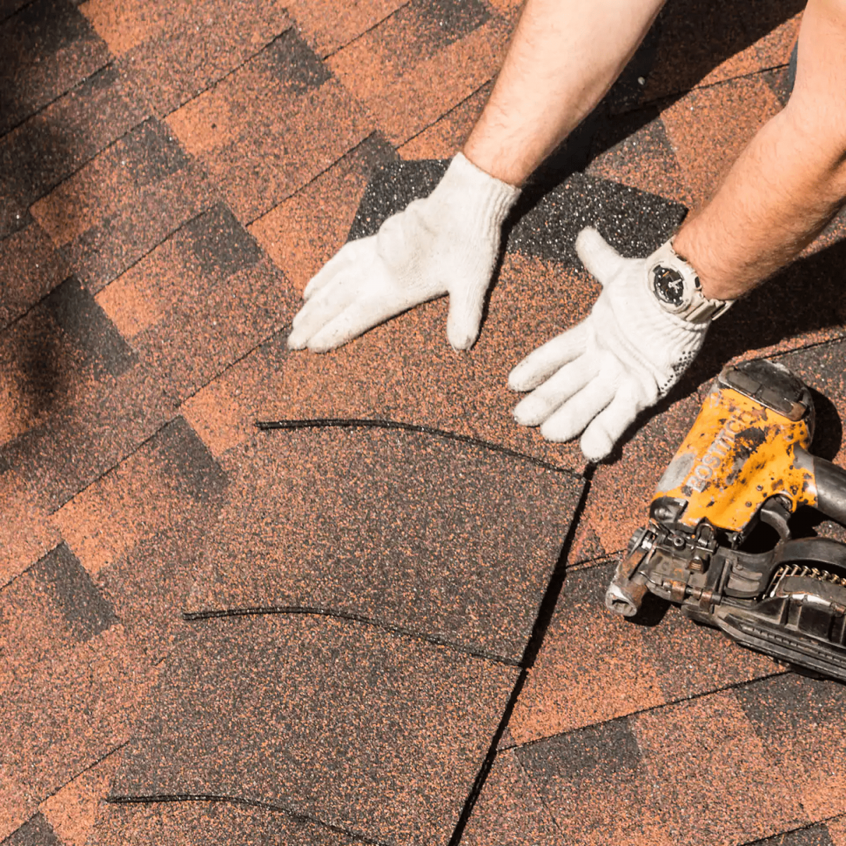 Lively Roofing Company Images