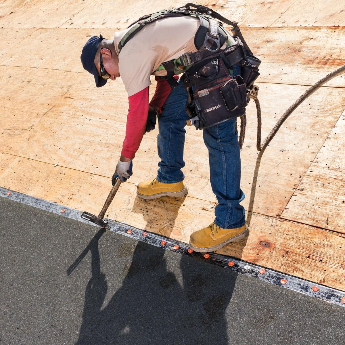Lively Roofing Company Images