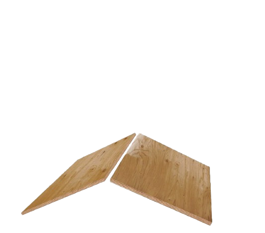 Lively Roofing Company Images
