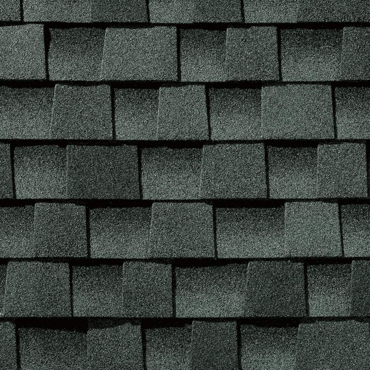 Lively Roofing Company Images
