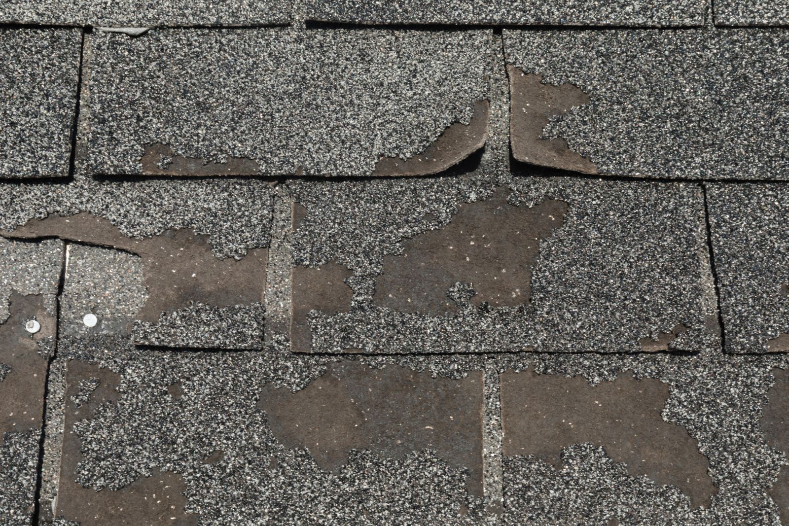 Lively Roofing Company Images