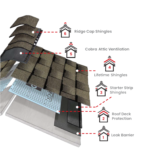 Lively Roofing CompanyImages