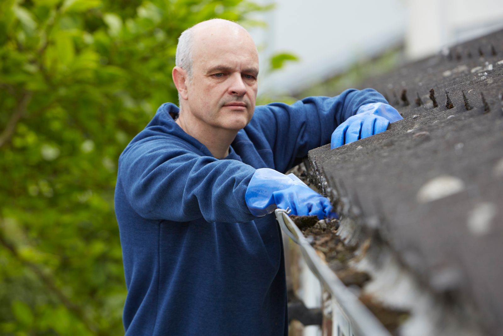 Lively Roofing Company Images