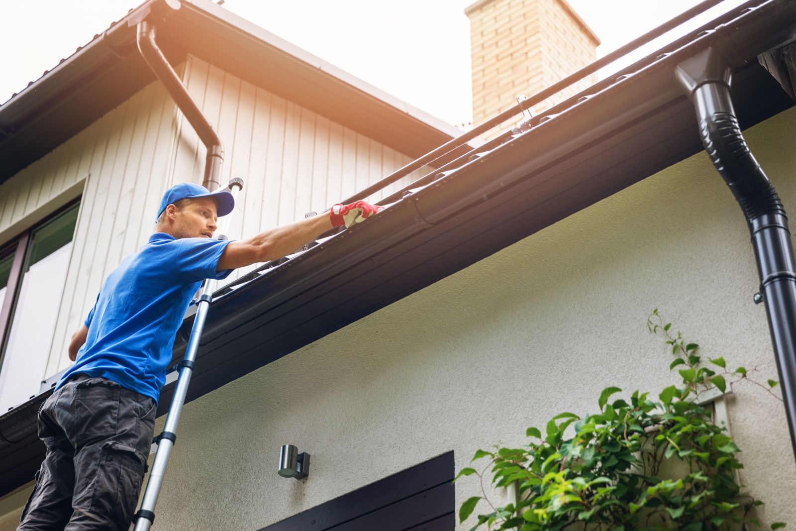 Lively Roofing Company Images