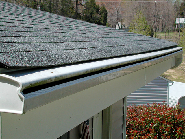 Lively Roofing CompanyImages