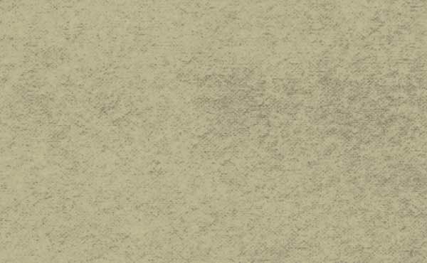 Lively Roofing Company Images