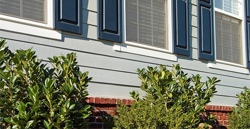 Lively Roofing Company Images